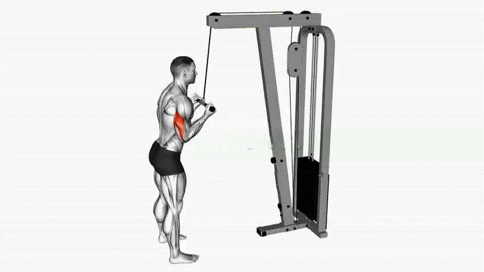 Cable Reverse Pushdown